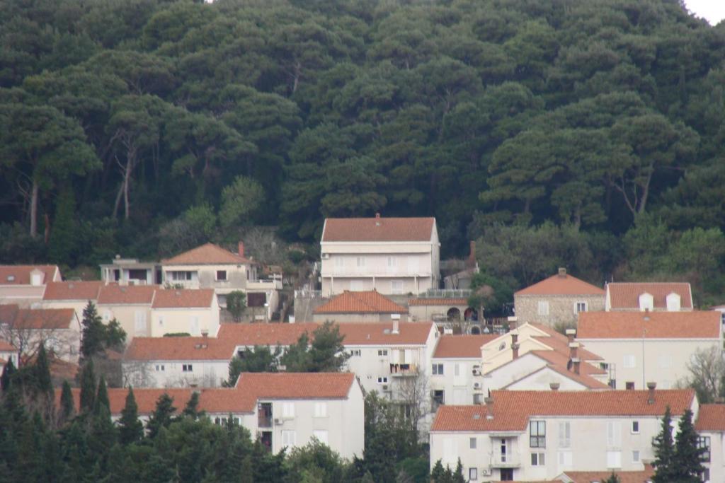 Lile * Dubrovnik